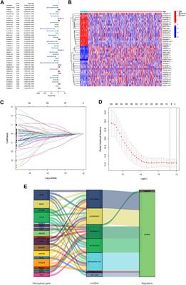 A Novel Necroptosis-Related lncRNA Signature Predicts the Prognosis of Lung Adenocarcinoma